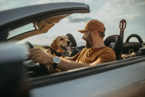 A bearded man in a cap drives a convertible with the top down while a yellow Labrador sits in the passenger seat beside a guitar.