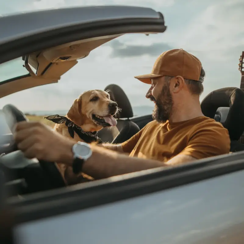 A bearded man in a cap drives a convertible with the top down while a yellow Labrador sits in the passenger seat beside a guitar.